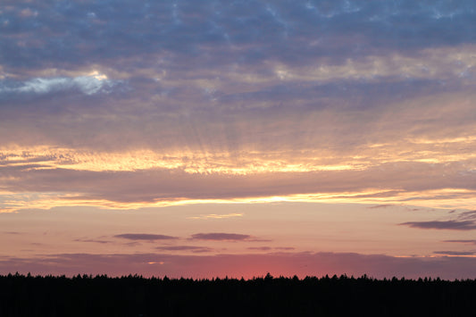 森と夕焼け空